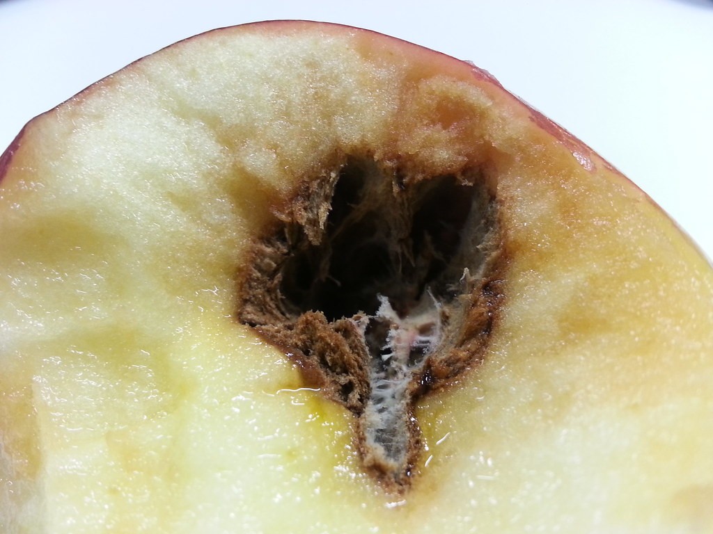 how to tell if an apple is bad inside