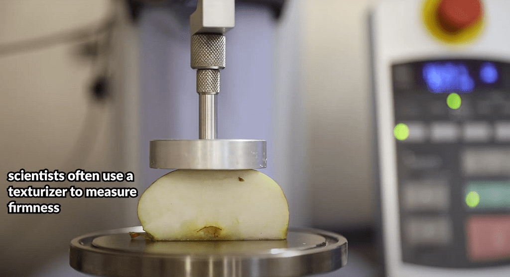 how to know if an apple is bad