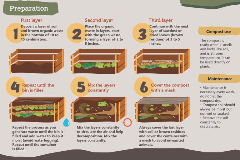 How to Make Compost at Home Step by Step: 10 Easy Steps 1 how to make compost at home step by step