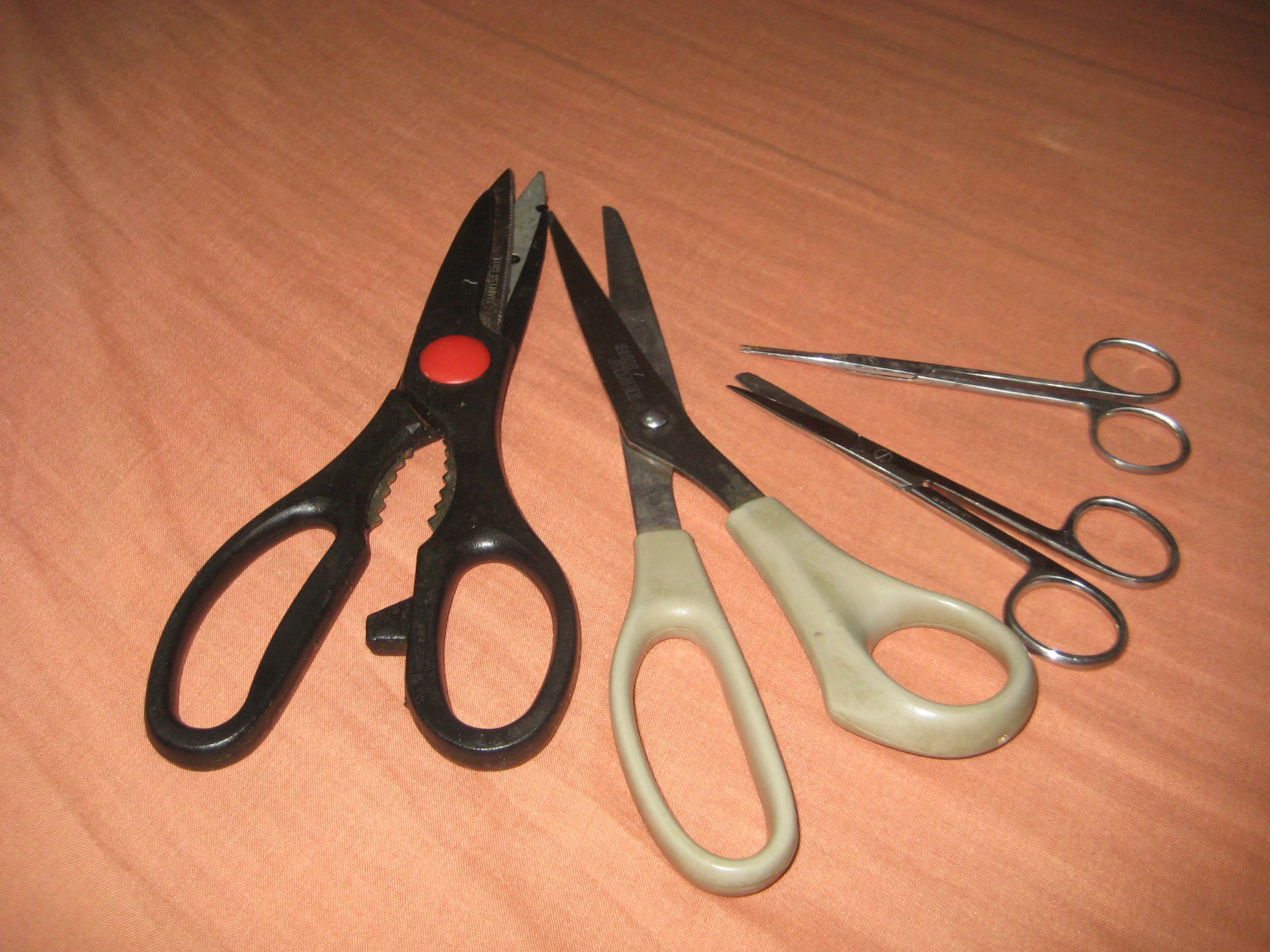 Pruning Shears vs Scissors