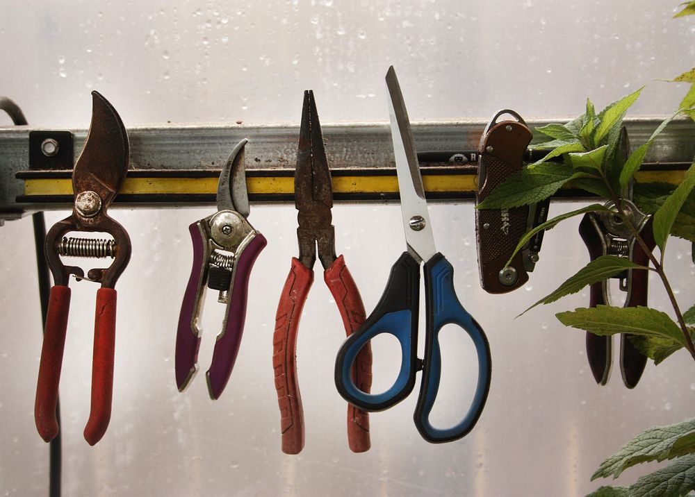 Pruning Shears vs Scissors