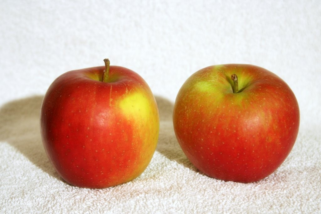Substitute for Golden Delicious Apples in Baking