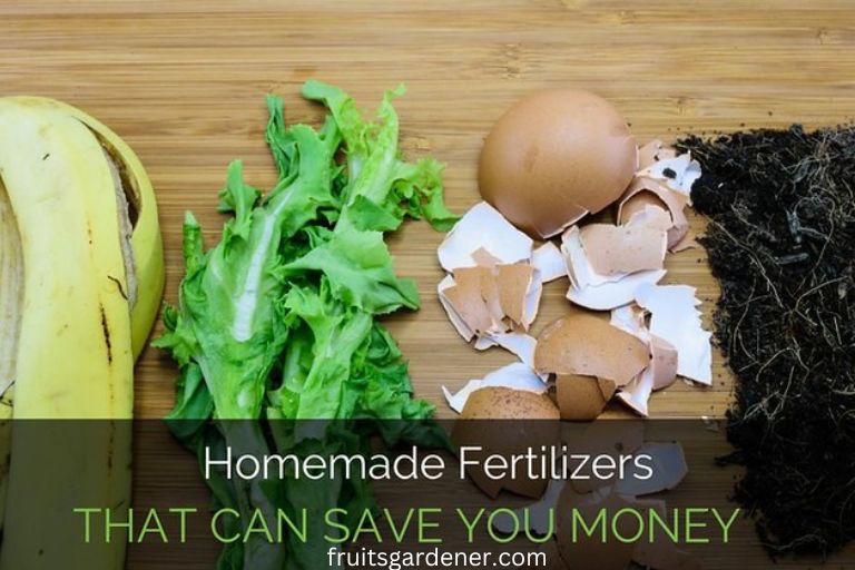 Homemade Fertilizer for Fruit Trees