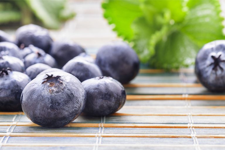 small fruits to grow indoors