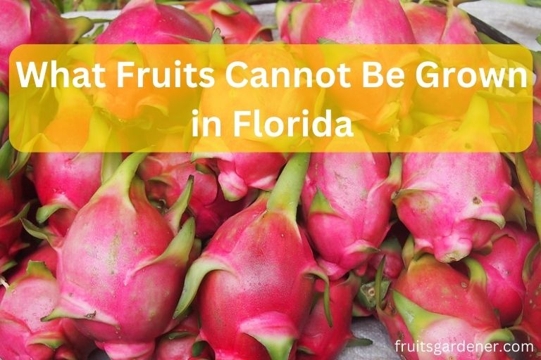 What Fruits Cannot Be Grown in Florida