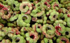 Fruit Bearing Trees in Visayas