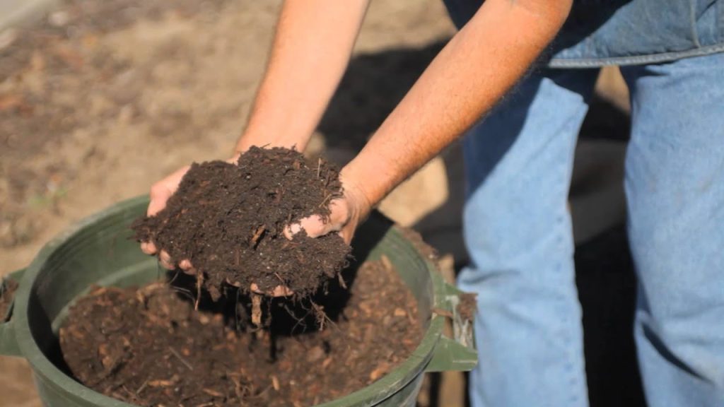 Best Soil for Apple Trees