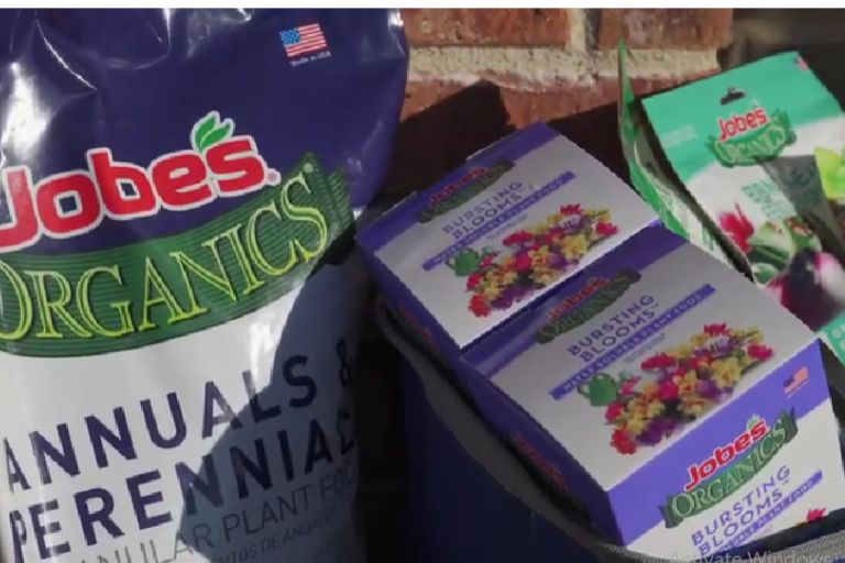 What Are the Best Fruit Tree Fertilizer You Need Fruits Gardener