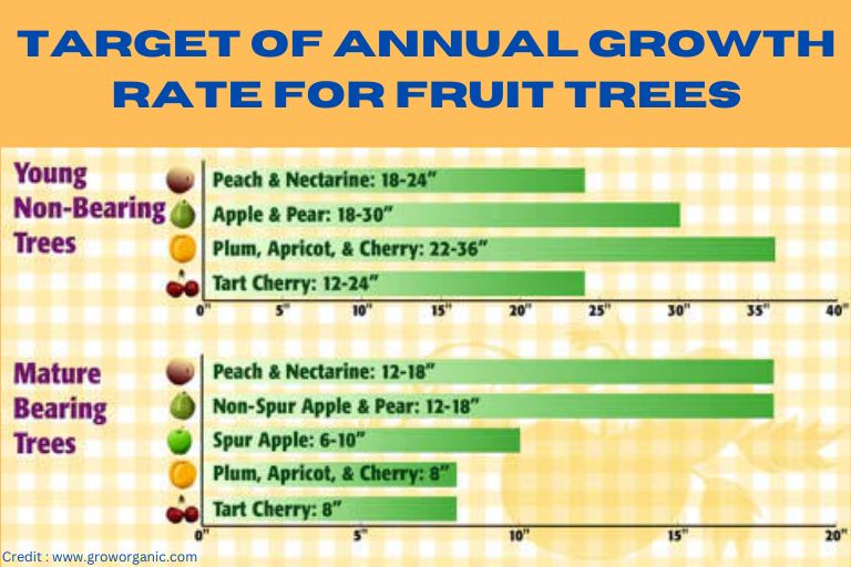 Top 5 Best Fruit Tree Fertilizer That Can Give You A Big Harvest   Target Of Anual Growth Rate For Fruit Trees 1 