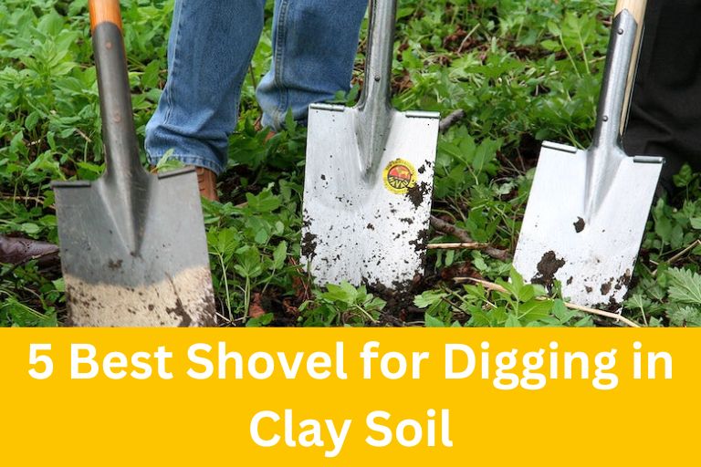Best Shovel for Digging in Clay