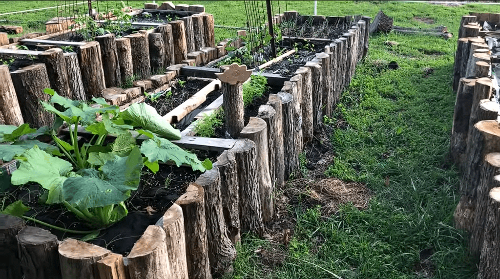 Cheap Garden Beds Ideas
