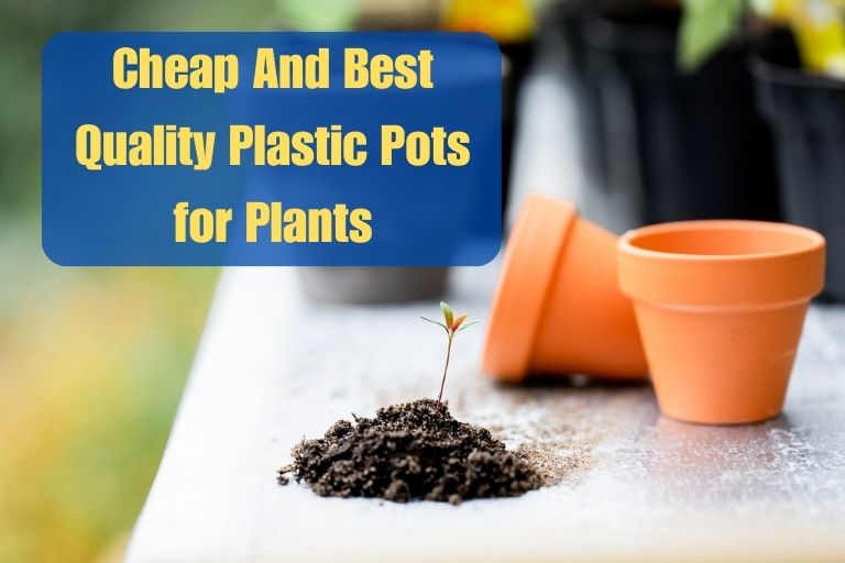 Cheap Plastic Pots for Plants
