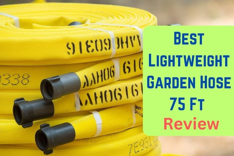 Best Lightweight Garden Hose 75 Ft