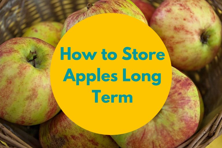 How to Store Apples Long Term