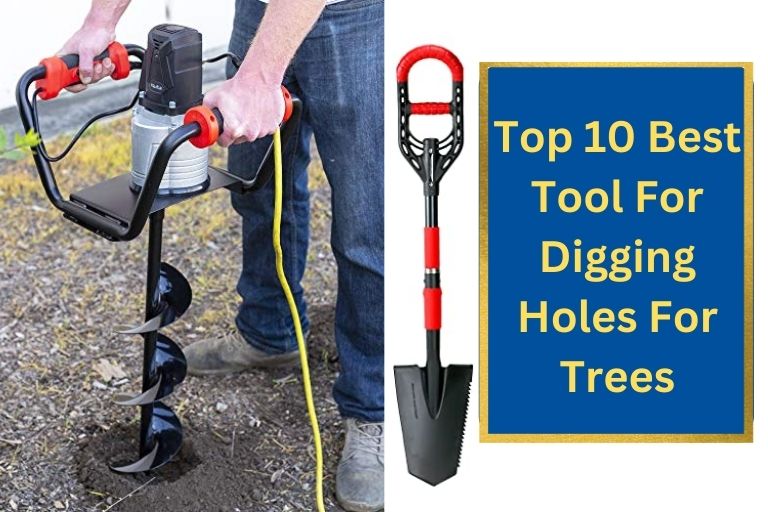 Best Tool For Digging Holes For Trees