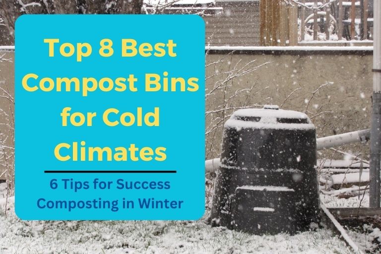 Best Compost Bins for Cold Climates