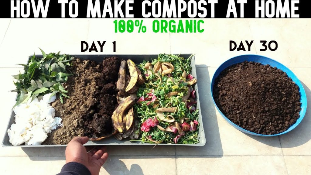 How to Make Compost at Home Step by Step