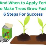 How And When to Apply Fertilizer to Make Trees Grow Fast