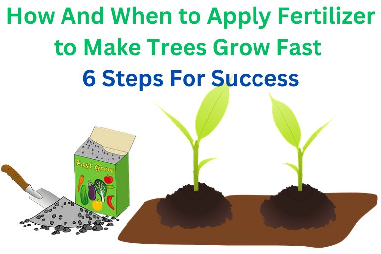 How And When to Apply Fertilizer to Make Trees Grow Fast
