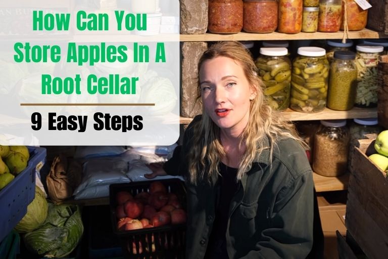 Can You Store Apples In A Root Cellar