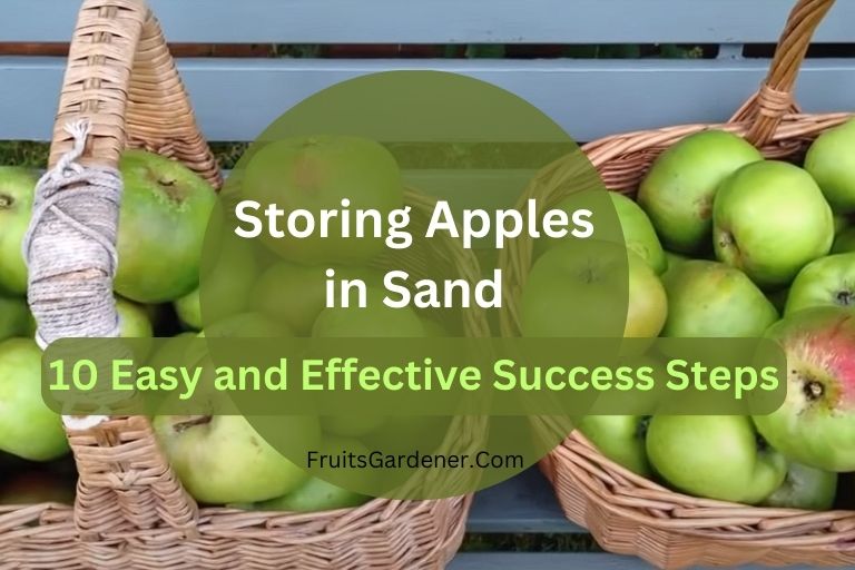 Storing Apples in Sand