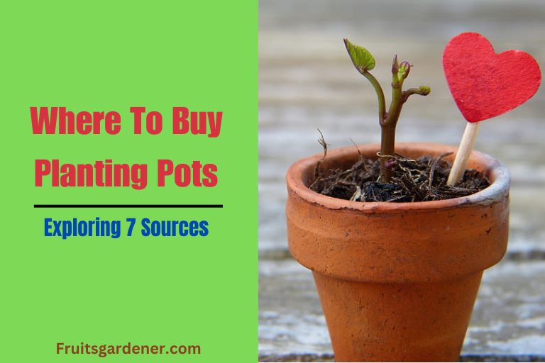 Where To Buy Planting Pots