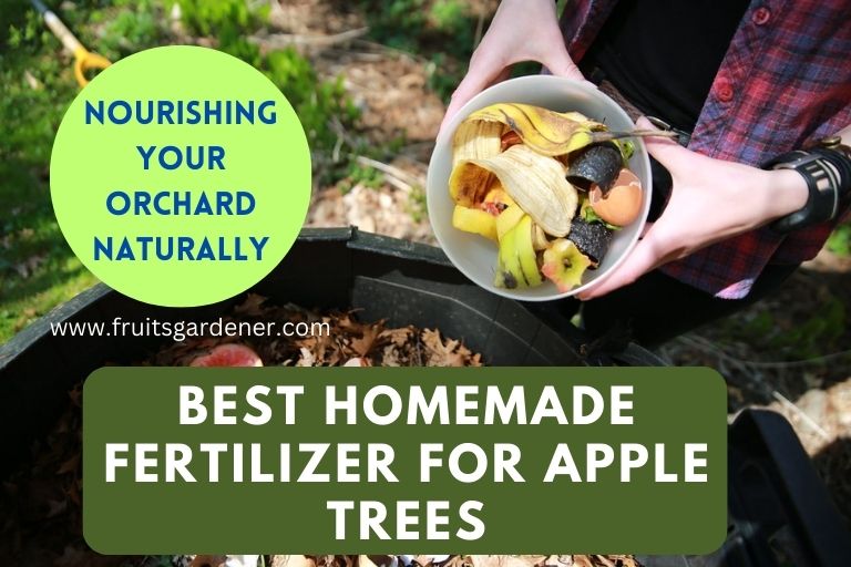 Homemade Fertilizer for Apple Trees