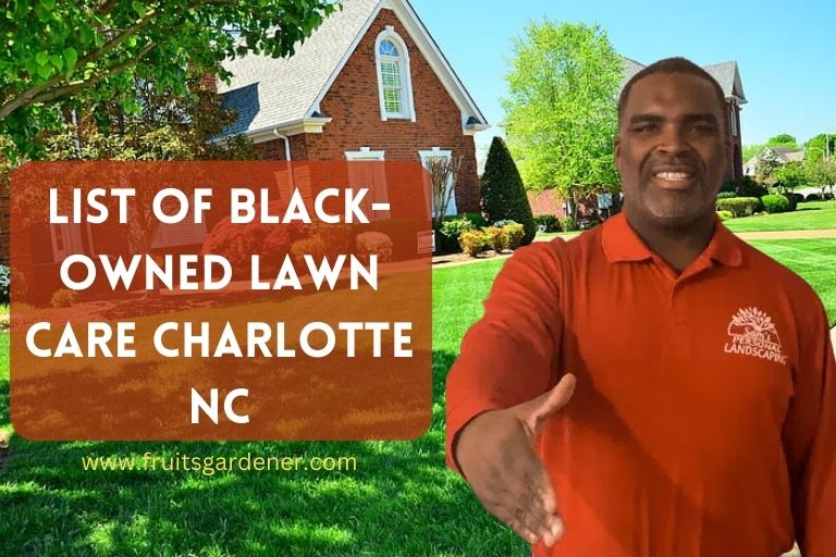 Black-owned Lawn Care Charlotte NC