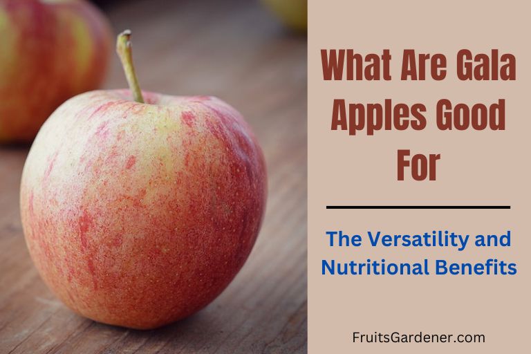 What Are Gala Apples Good For - The Versatility and Benefits