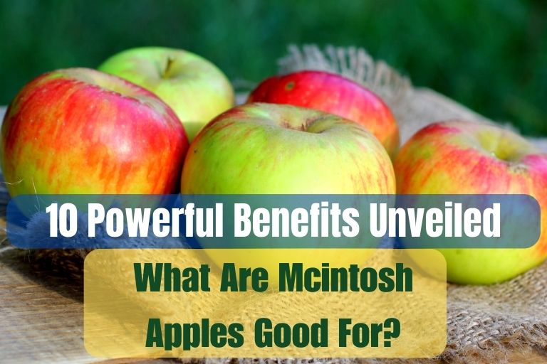 What Are Mcintosh Apples Good For
