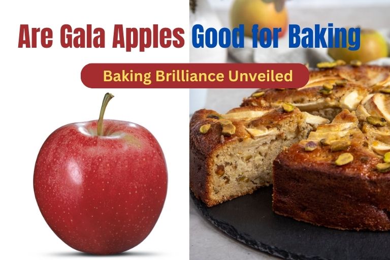 Are Gala Apples Good For Baking