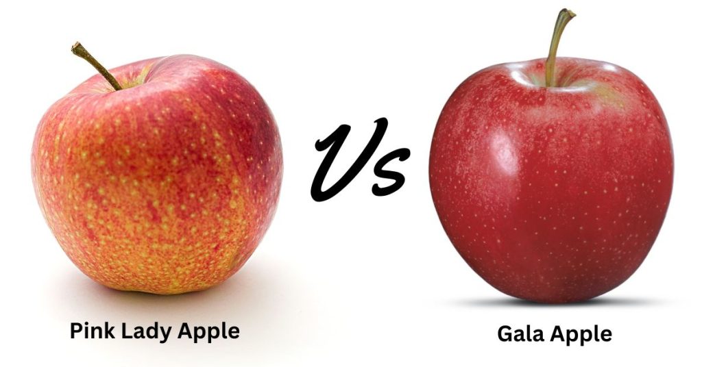 Pink Lady Apples Vs Gala