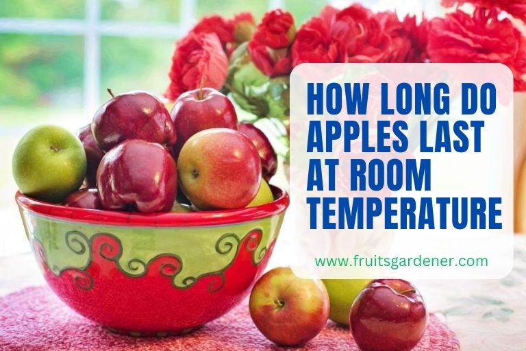 How Long Do Apples Last at Room Temperature