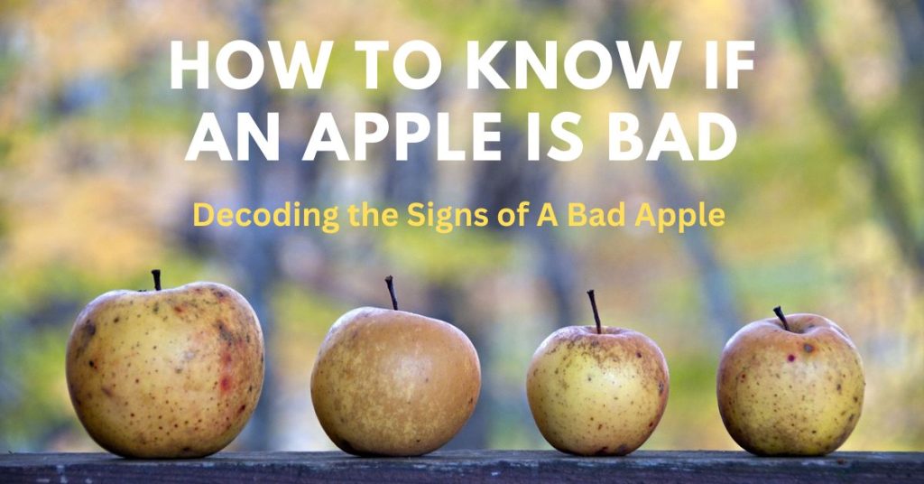 How to Know if an Apple is Bad