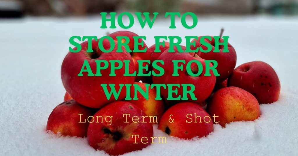 How to Store Fresh Apples for Winter