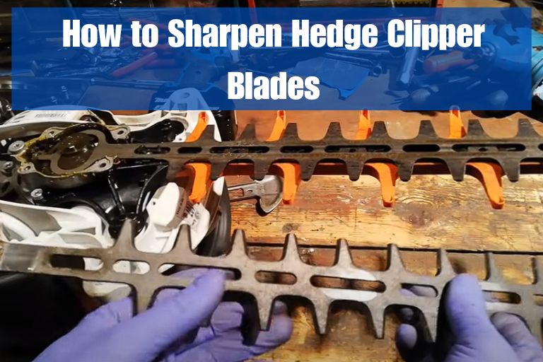 How to Sharpen Hedge Clipper Blades